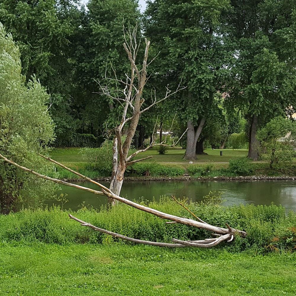 A dead tree branch laying on the ground near a river.